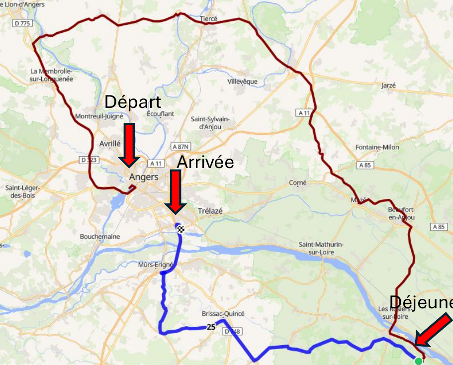 Carte du parcours de la rando moto : départ d'Angers, boucle au nord de la Loire, déjeuner à Trèves et retour aux Ponts-de-Cé